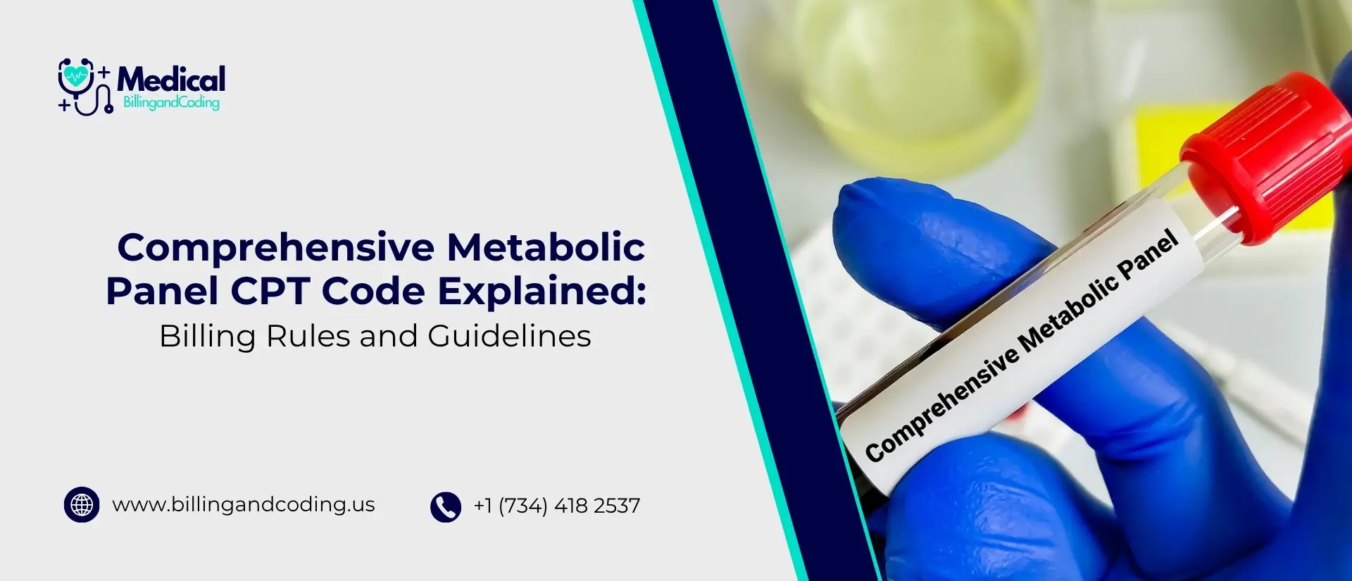 Comprehensive Metabolic Panel CPT Code Explained Billing Rules and Guidelines