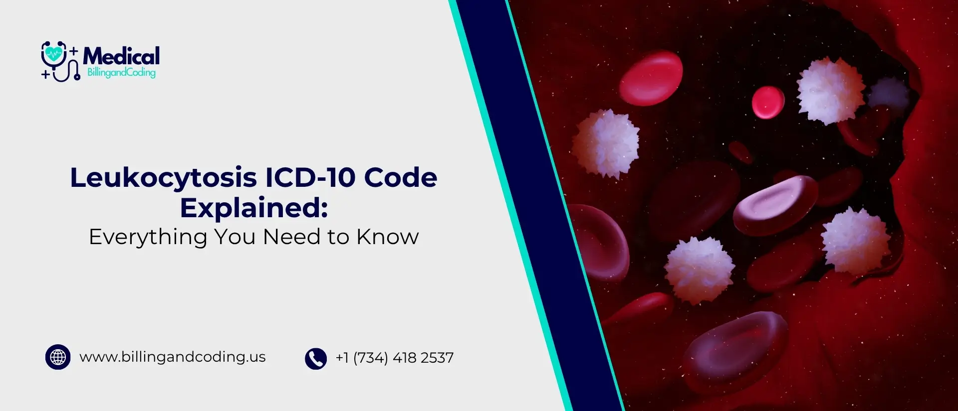 Leukocytosis ICD-10 Code Explained Everything You Need to Know