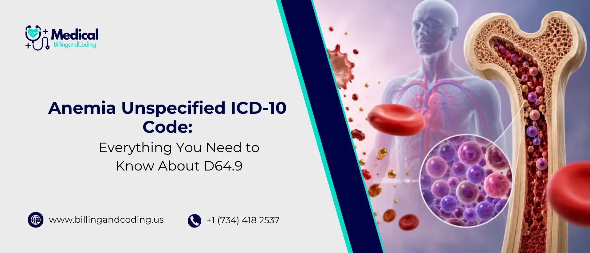 Anemia Unspecified ICD-10 Code Everything You Need to Know About D64.9.jpg