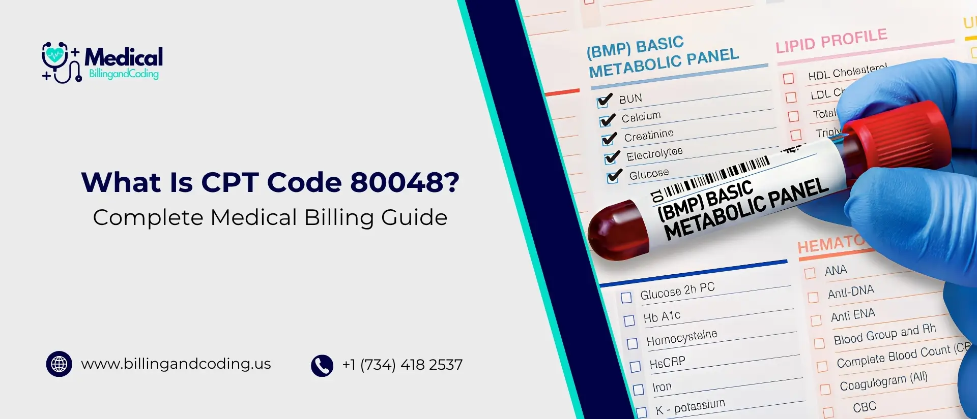 What Is CPT Code 80048 Complete Medical Billing Guide